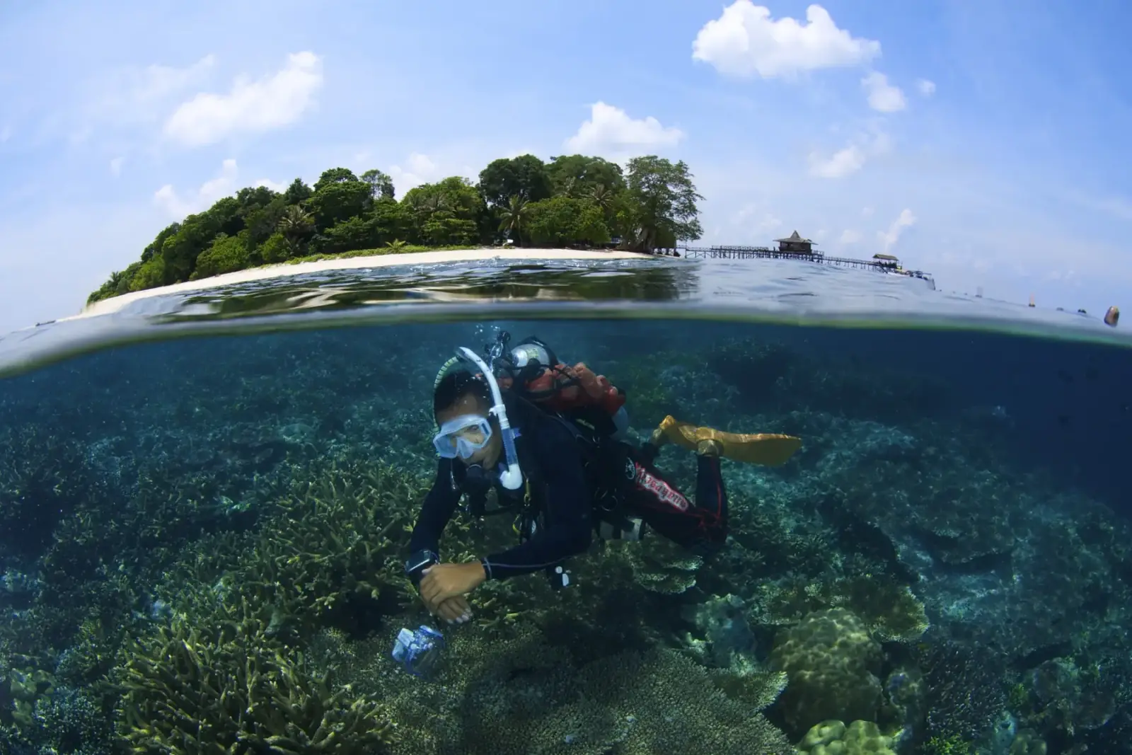 A diver swimming over healthy reef beneath a forested Sabah island, half above and half below the water